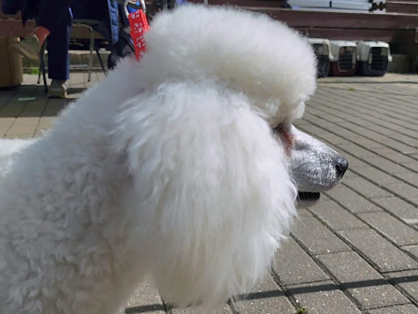 Фото: Анна Тюрюмина&nbsp; &nbsp; &nbsp; &nbsp; &nbsp;