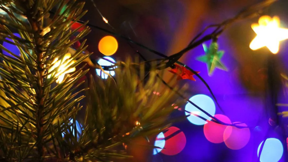 Фото: REGIONS/Эльвира Сафина