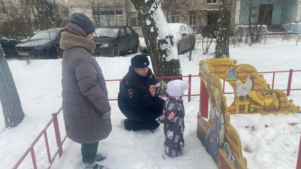 Источник: пресс-служба ОМВД России «Павлово-Посадский»