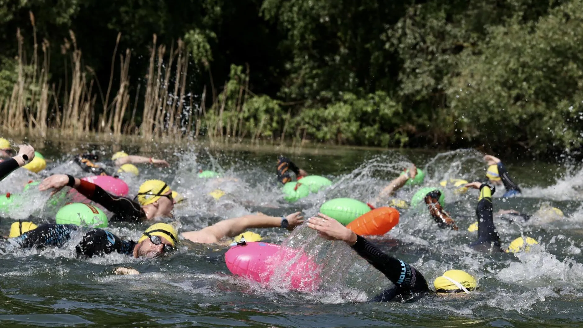 Фото: Кубок чемпионов Swimcup