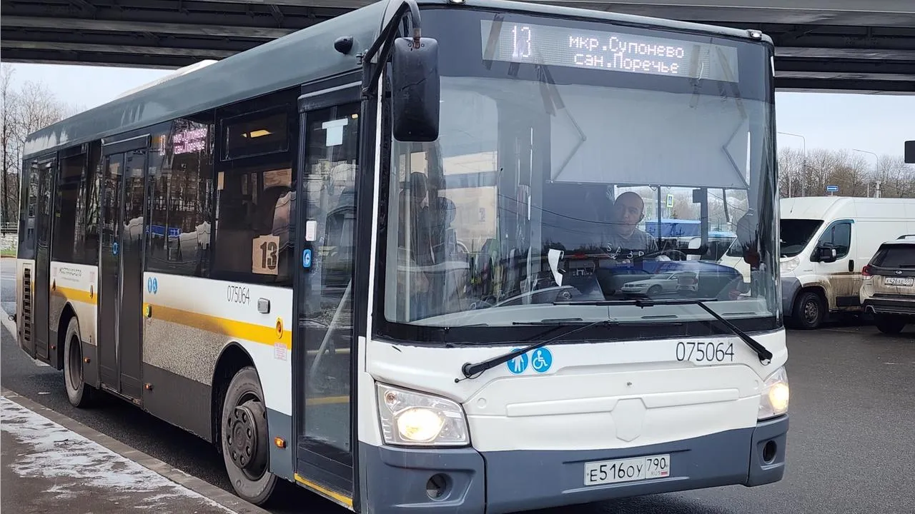 МедиаБанк Подмосковья/Хавива Фонина