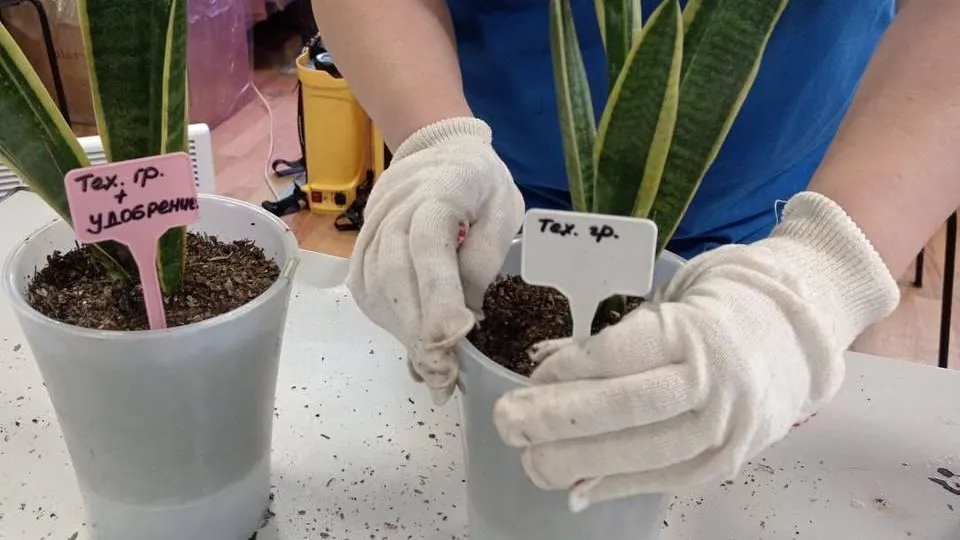 Фото: пресс-служба Министерства по содержанию территорий и государственному жилищному надзору МО