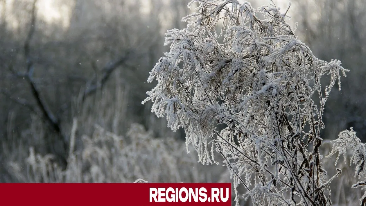 фото: Герман Оксюта