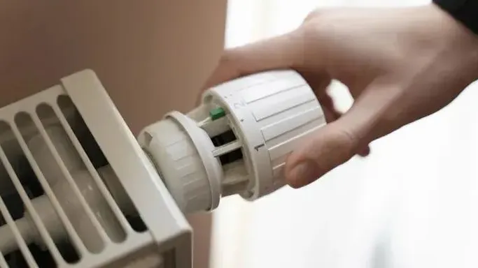 Фото: ru.freepik.com