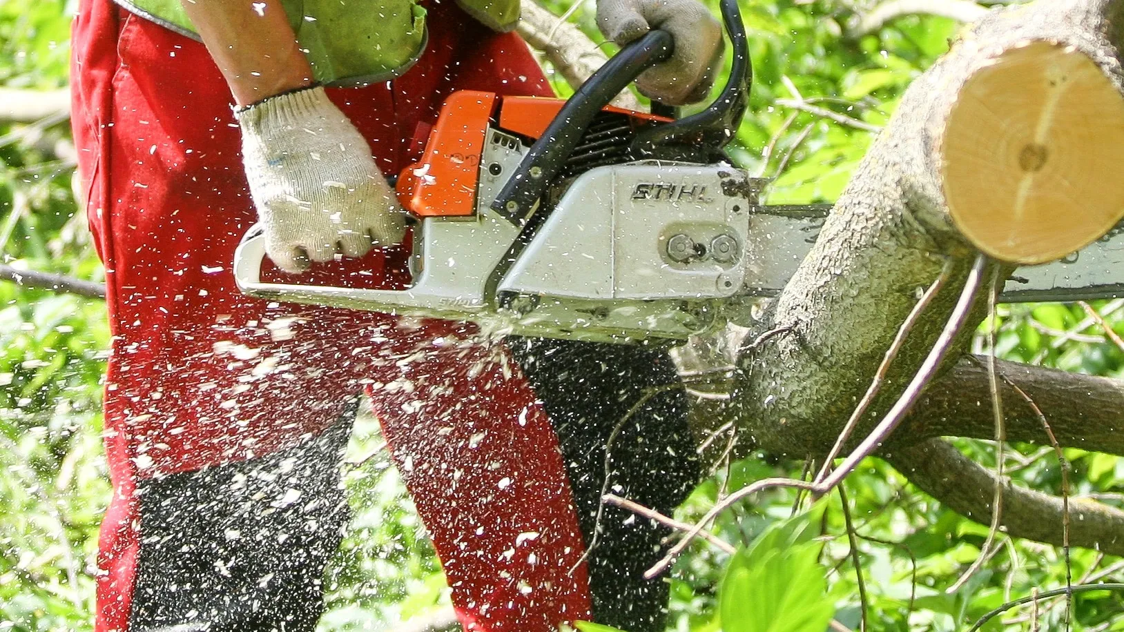 Фото: Анна Реппель