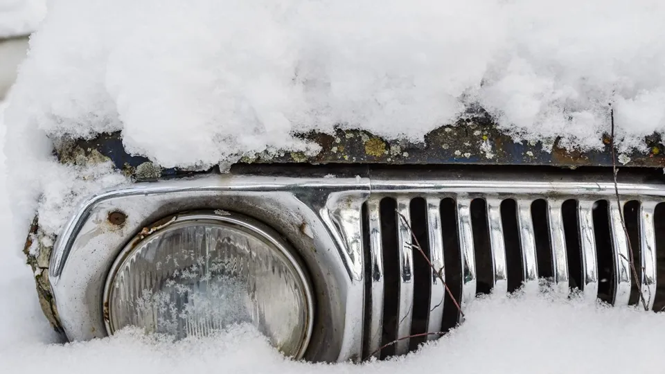 Фото: медиасток.рф