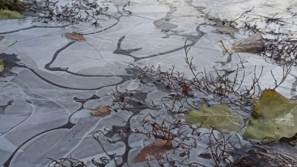 Фото: REGIONS/Эльвира Сафина