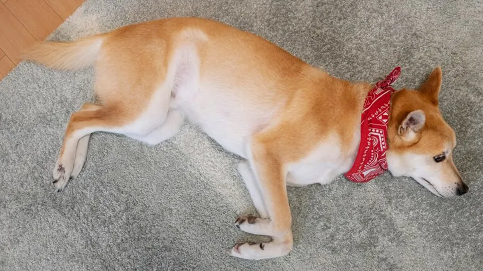 Фото: freepik.com