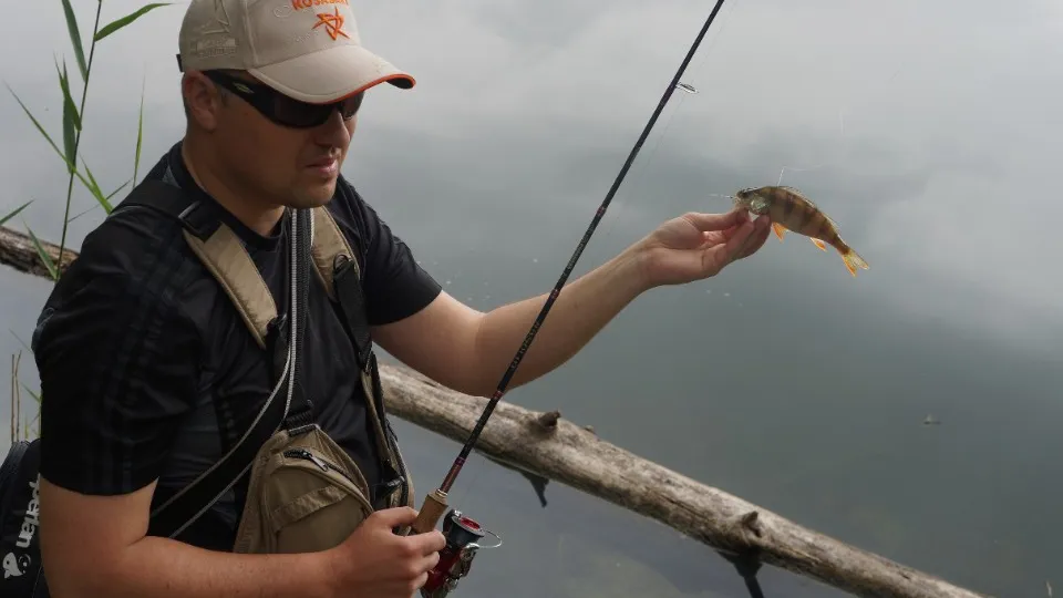 Фото: медиасток.рф