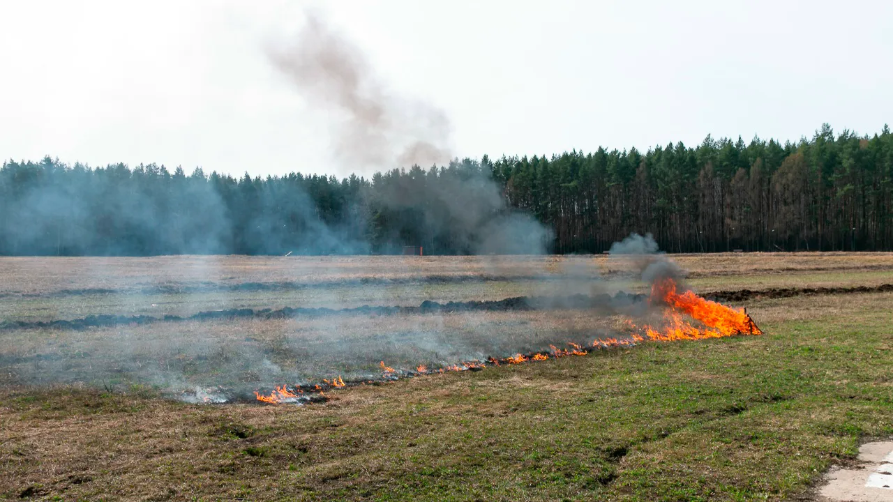REGIONS/Евгений Мазепов