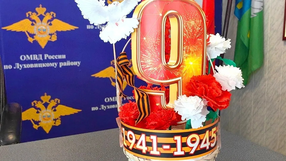 Фото: пресс-служба луховицкого отдела МВД России