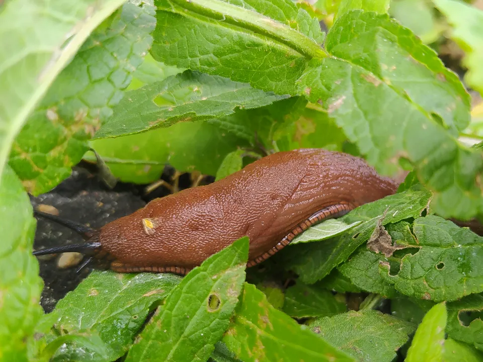 Фото: МедиаБанк Подмосковья/Владимир Киселев