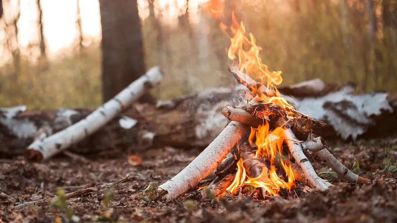 istockphoto.com/Dmytro Aslanian