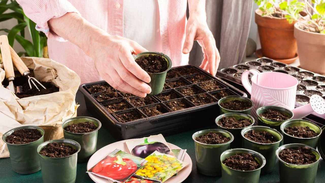 istockphoto.com/pundapanda