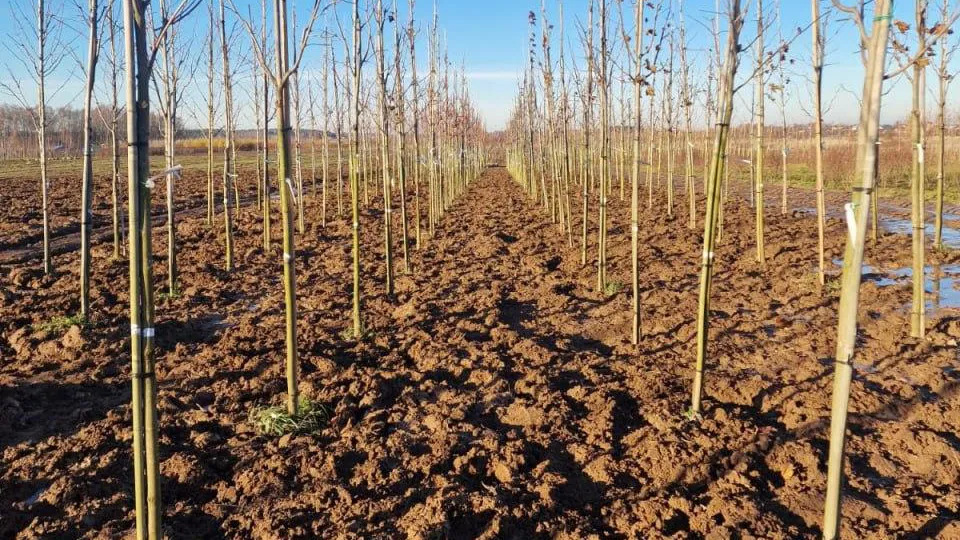 Фото: Минсельхоз МО