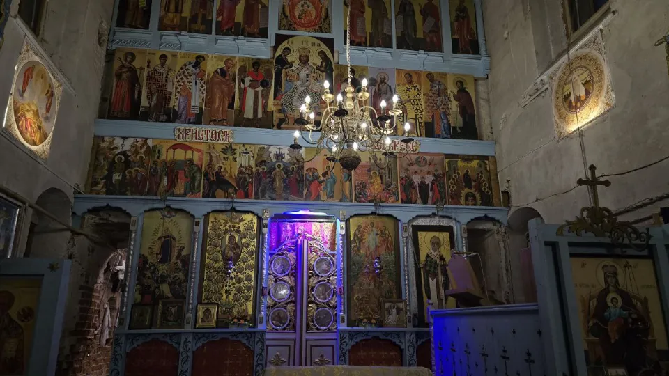 Фото: МедиаБанк Подмосковья/Яна Шаливская