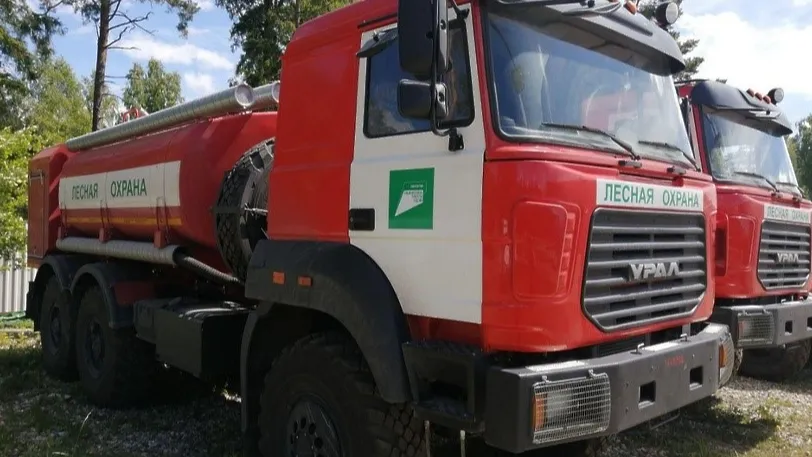 Фото: Комлесхоз МО