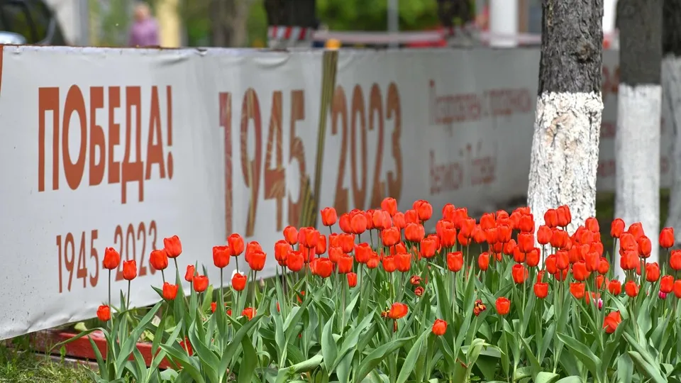 Фото: пресс-служба администрации г.о. Химки