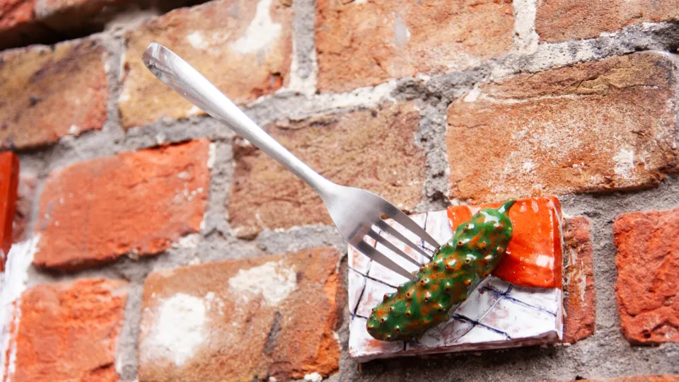 Фото: сообщество «Энтузиасты»