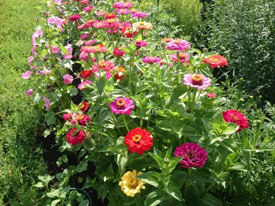 Фото: REGIONS/Юлия Габбасова