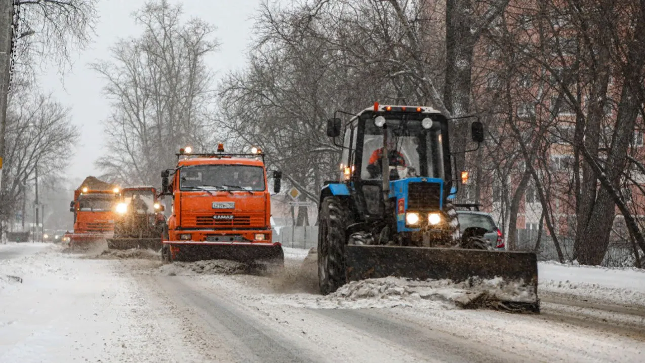 Фото: телевидение "Аист"