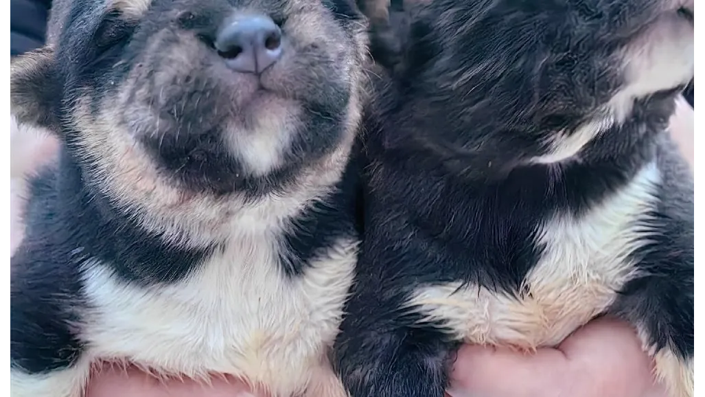 Фото: "Подслушано Новосиньково", Александра Мельникова.