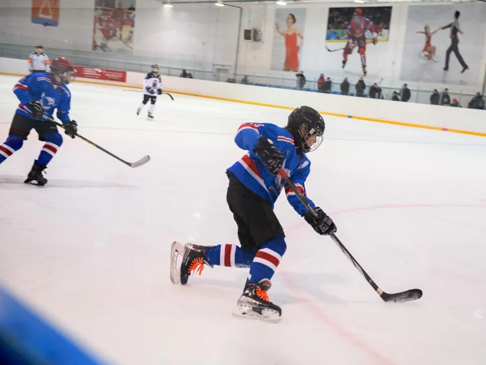 Фото: пресс-служба администрации г.о. Лыткарино&nbsp;