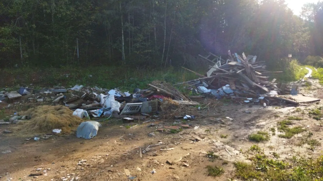 Фото: соцсети