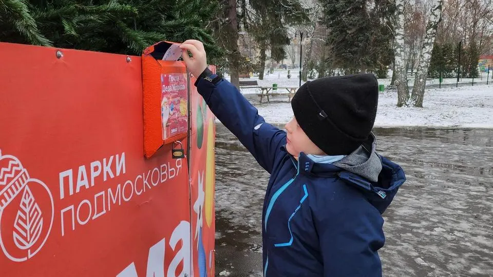 Фото: МедиаБанк Подмосковья/Юлия Скавронова