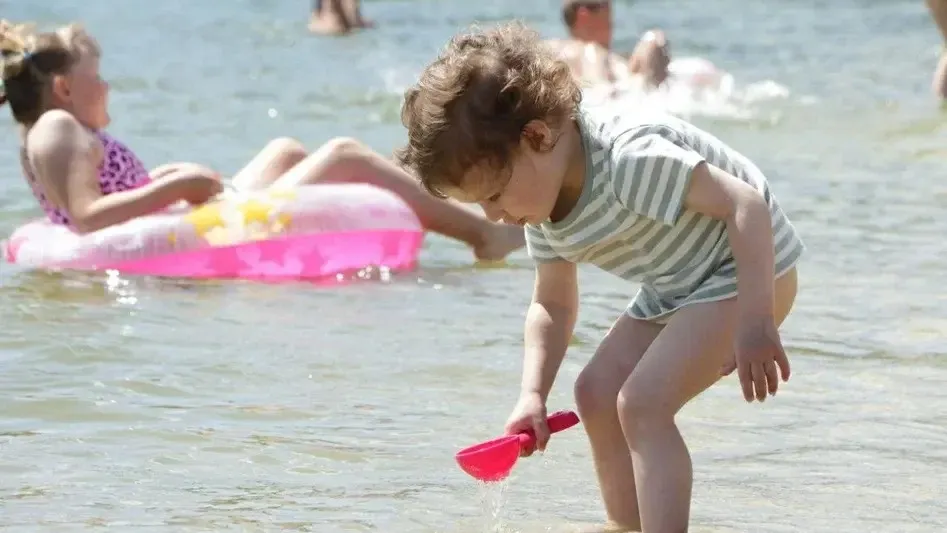 Фото: Министерство благоустройства МО