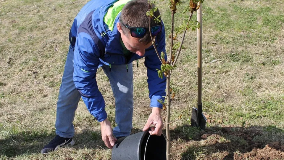 Фото: МАУ «Волок-Медиа» (СМИ Волоколамского муниципального округа)
