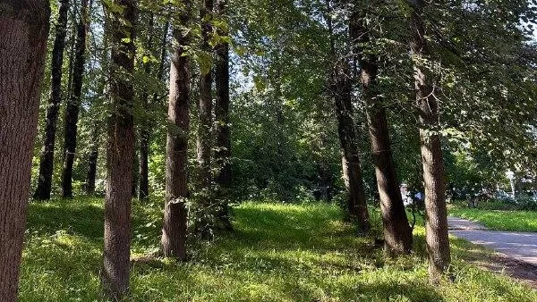 Из архива редакции