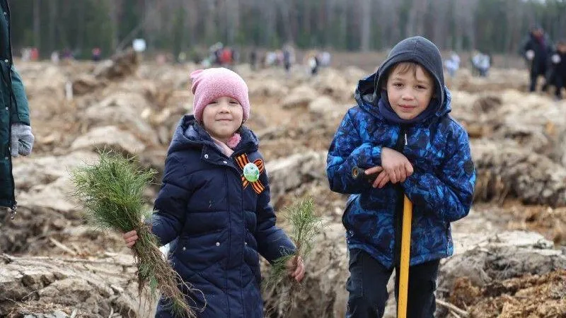 Более 334 тысяч деревьев высадили в Подмосковье в рамках акции «Лес Победы»