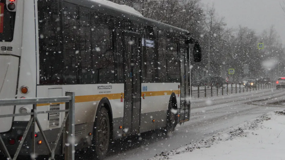 Фото: REGIONS/Василий Тремасов