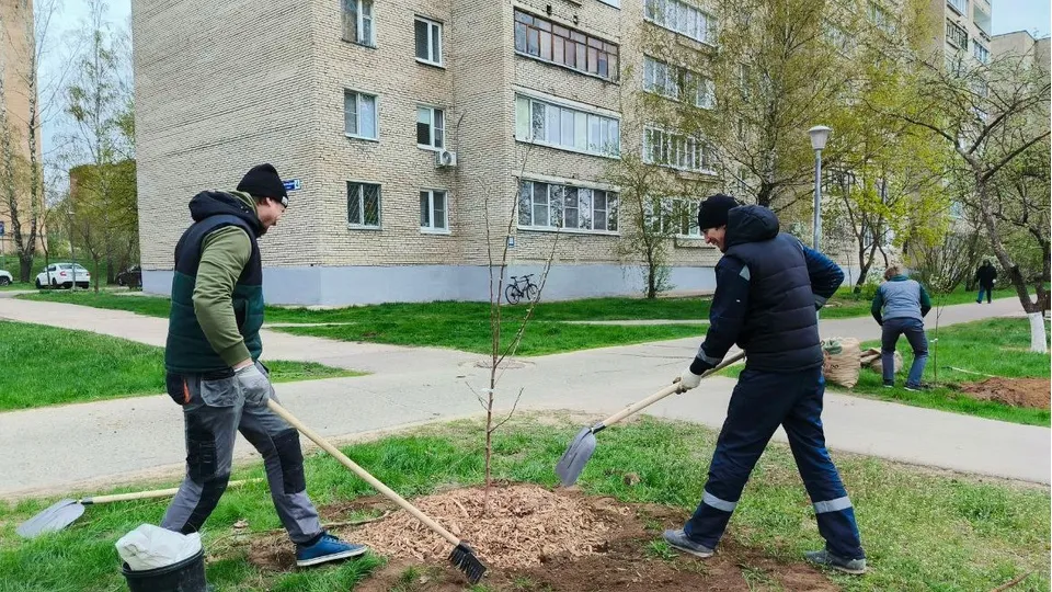 Фото: https://t.me/chernogolovkavk