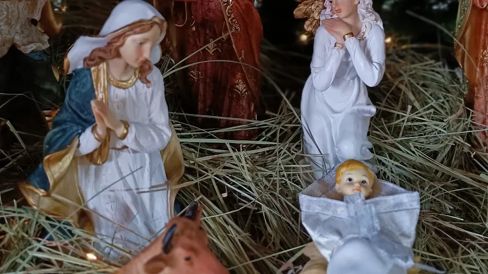 Фото: МедиаБанк Подмосковья/Екатерина Дятловская