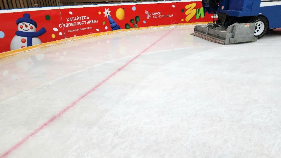 Фото: МедиаБанк Подмосковья/Юлия Унрау