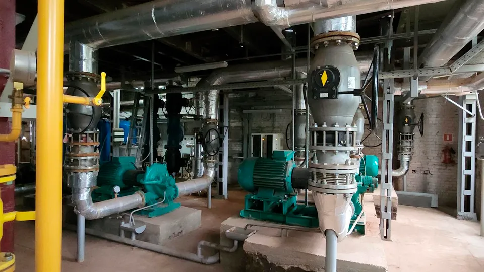 Фото: МедиаБанк Подмосковья/Валерия Исаева