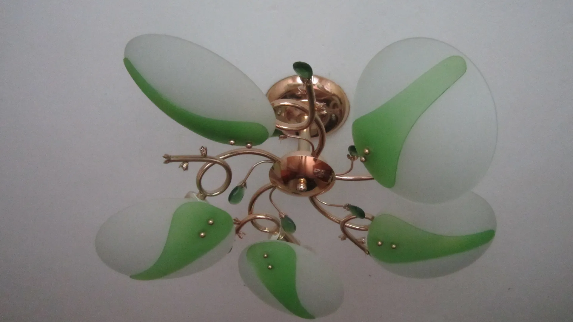 Фото: Олег Книжник