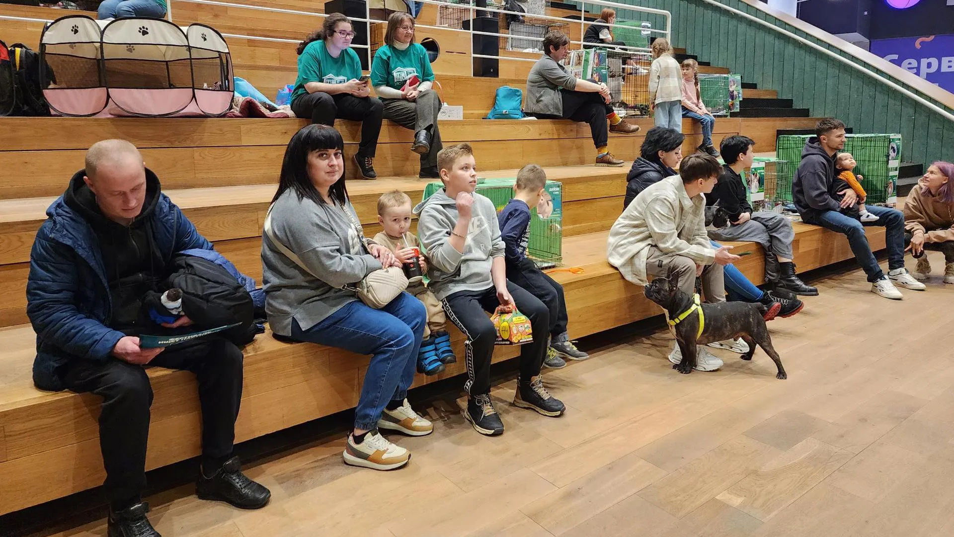 Фото: Ольга Шеметова