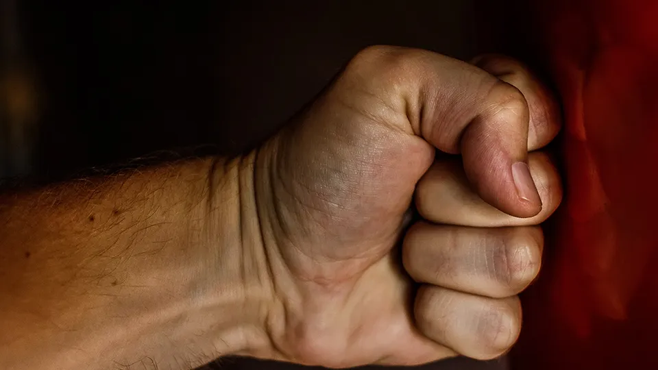 Фото: pxhere.com