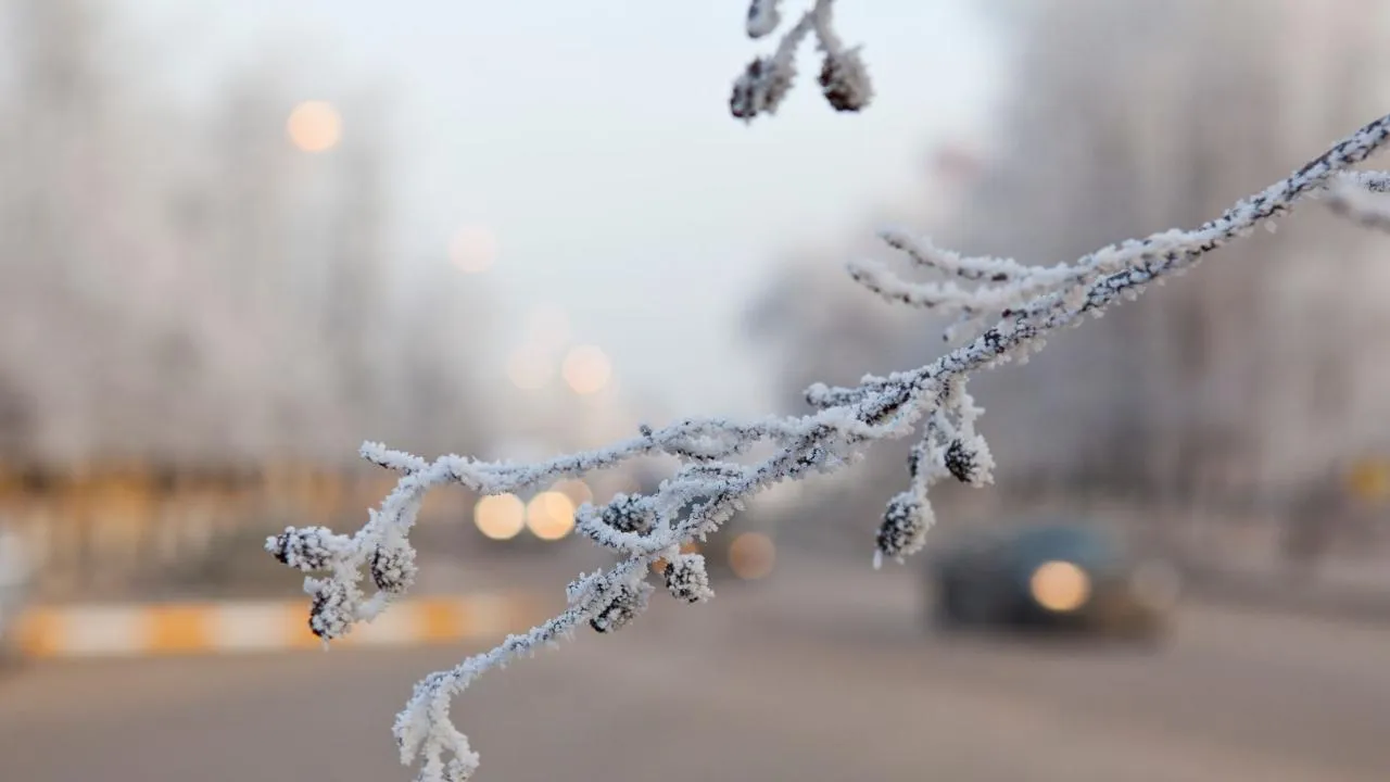 медиасток.рф