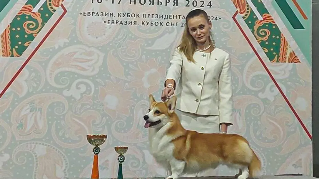 Фото: Минсельхозпрод МО