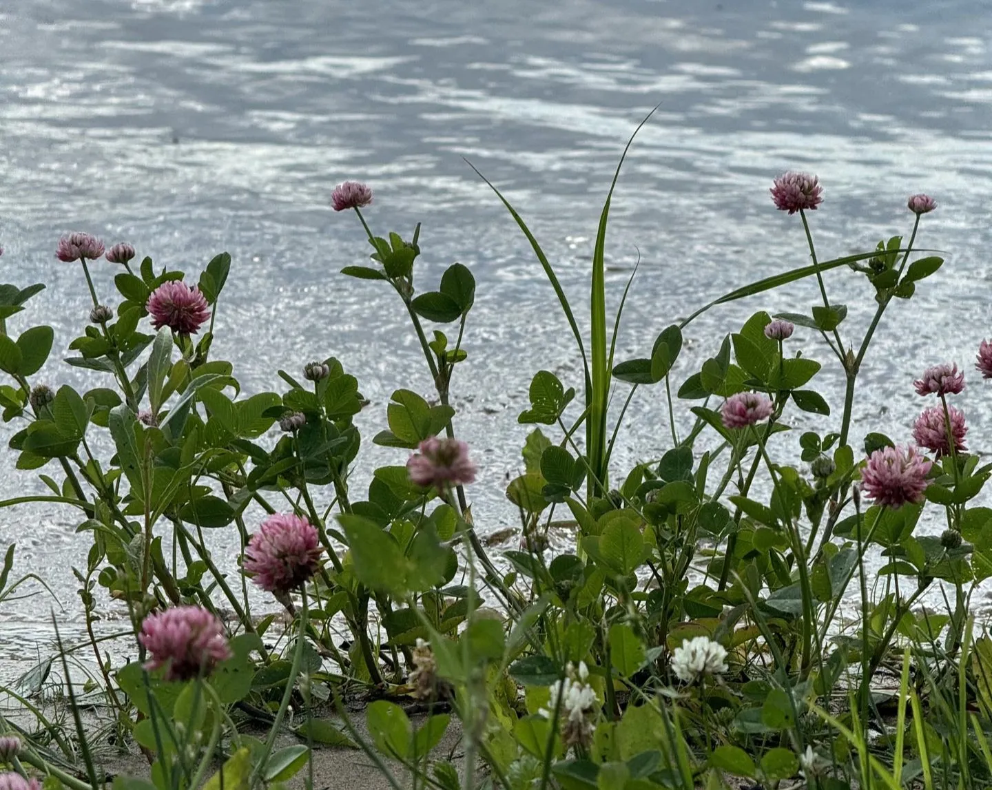 Фото: пресс-служба администрации Можайского городского округа