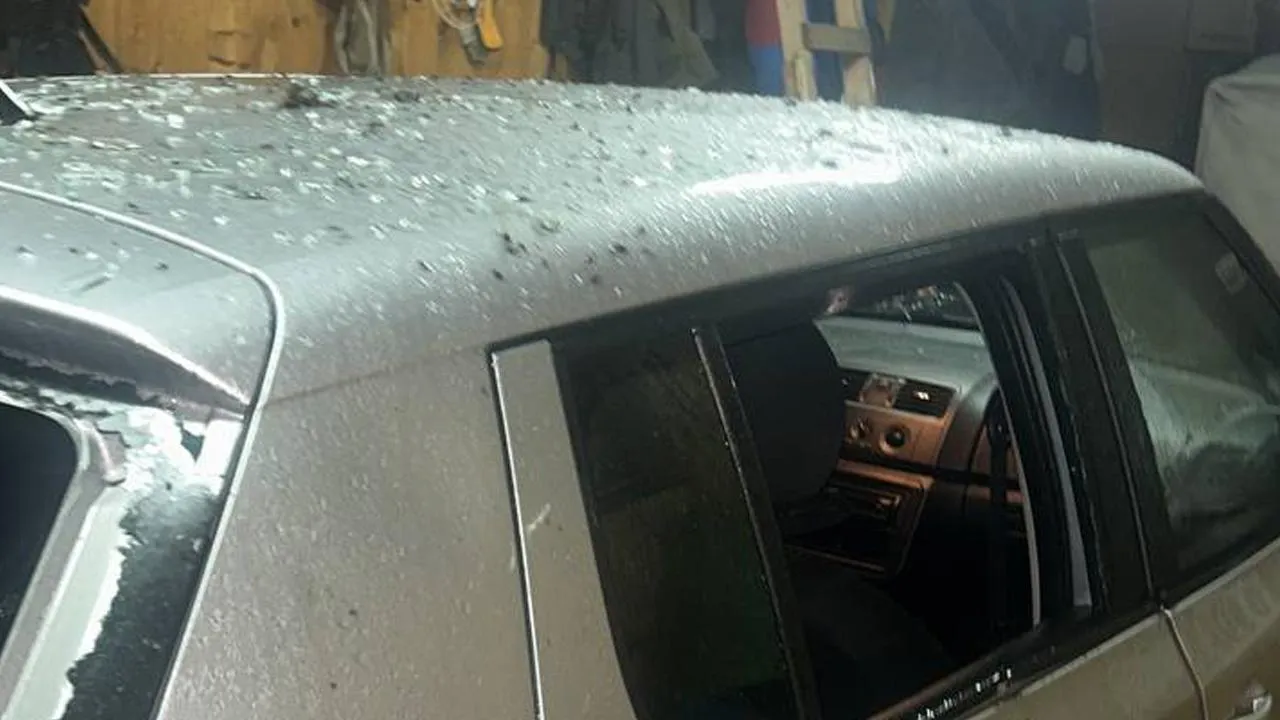 предоставлено Подмосковью Сегодня