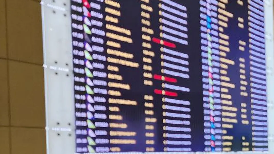 Фото: МедиаБанк Подмосковья/Эдуард Стратонов