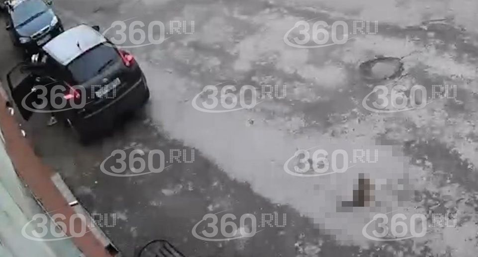 Соседей шокировала жестокость уфимки, специально переехавшей кошку на машине