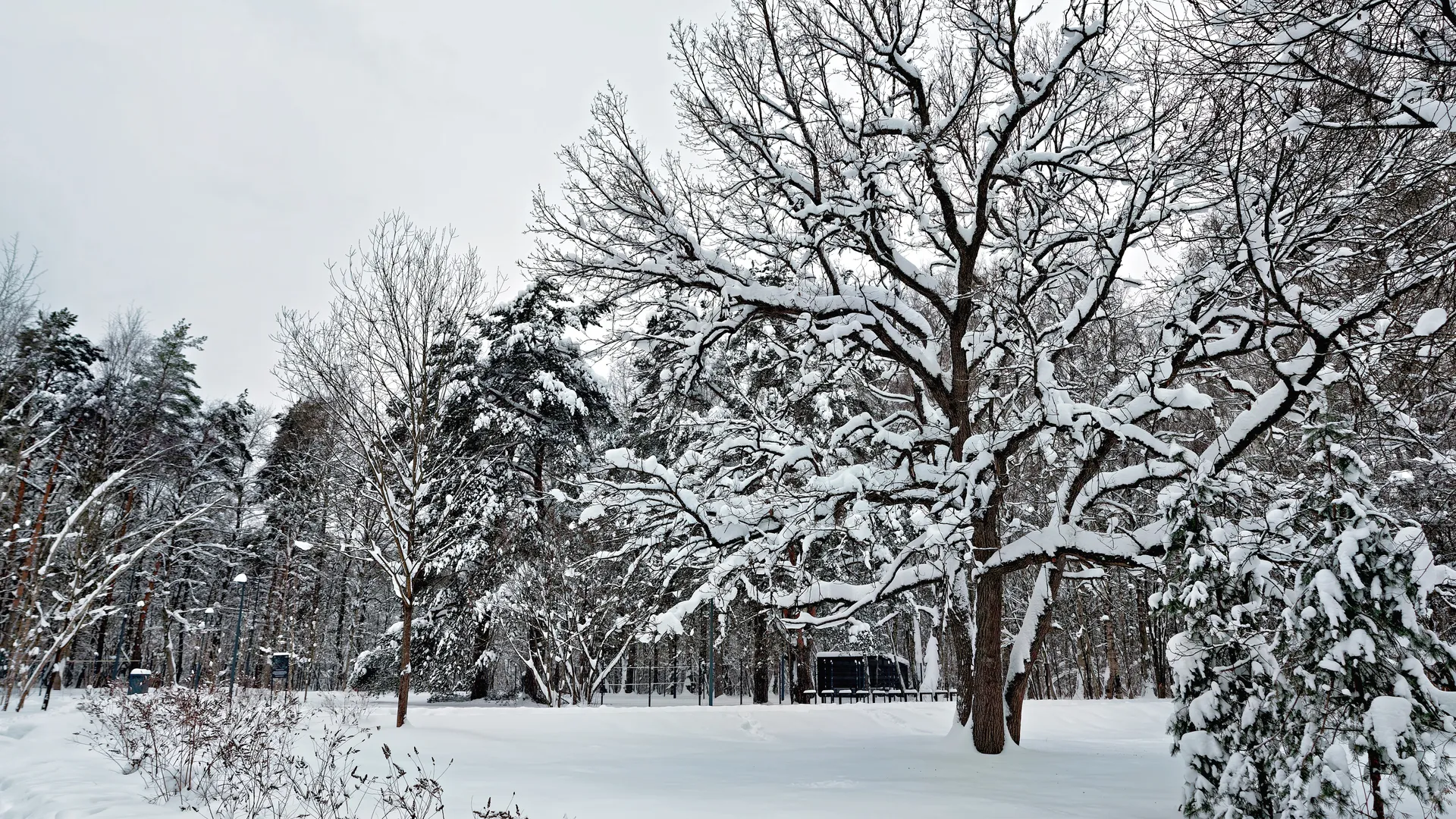 медиасток.рф