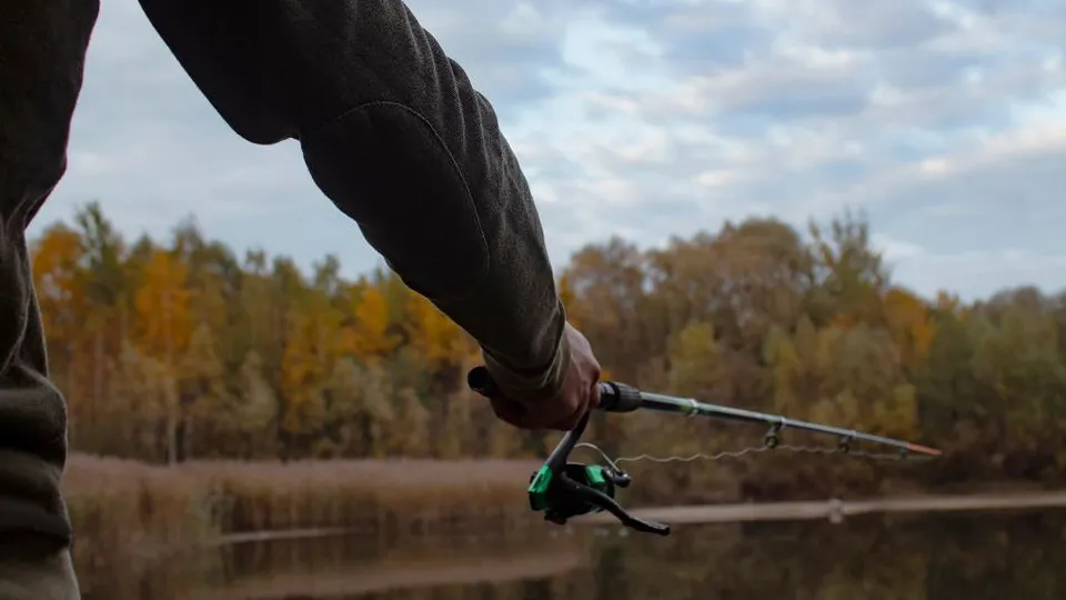 Фото: istockphoto.com/vadishzainer