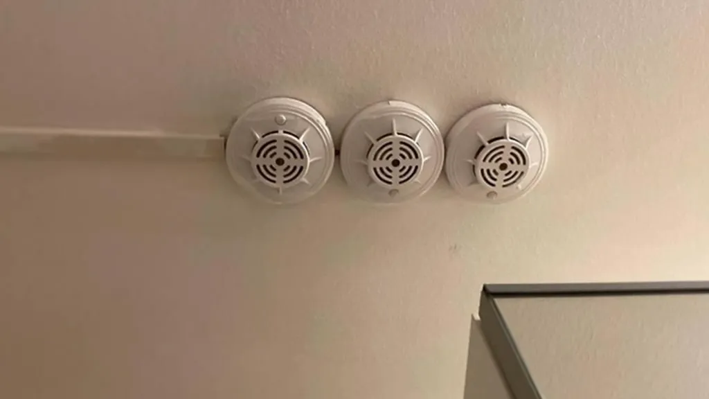 © Пресс-служба Главного управления содержания территорий Московской области